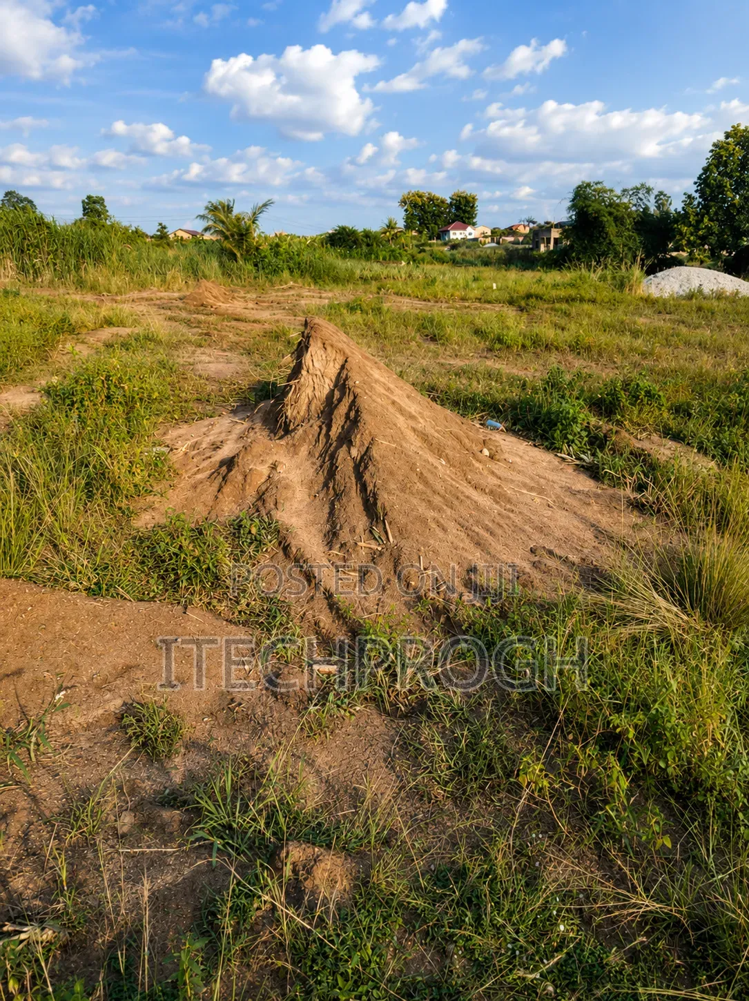 Half Plot of Land