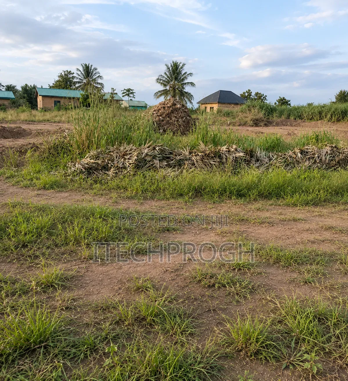 Half Plot of Land