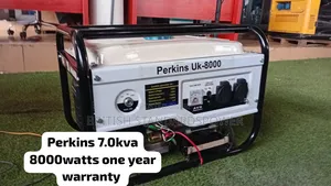 Perkins 8000w Backup Generator – Keep the Lights on Anytime