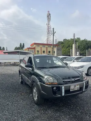 Hyundai Tucson 2010 Green