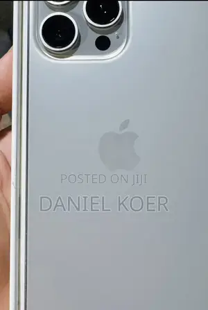Apple iPhone 15 Pro Max 256 GB Silver