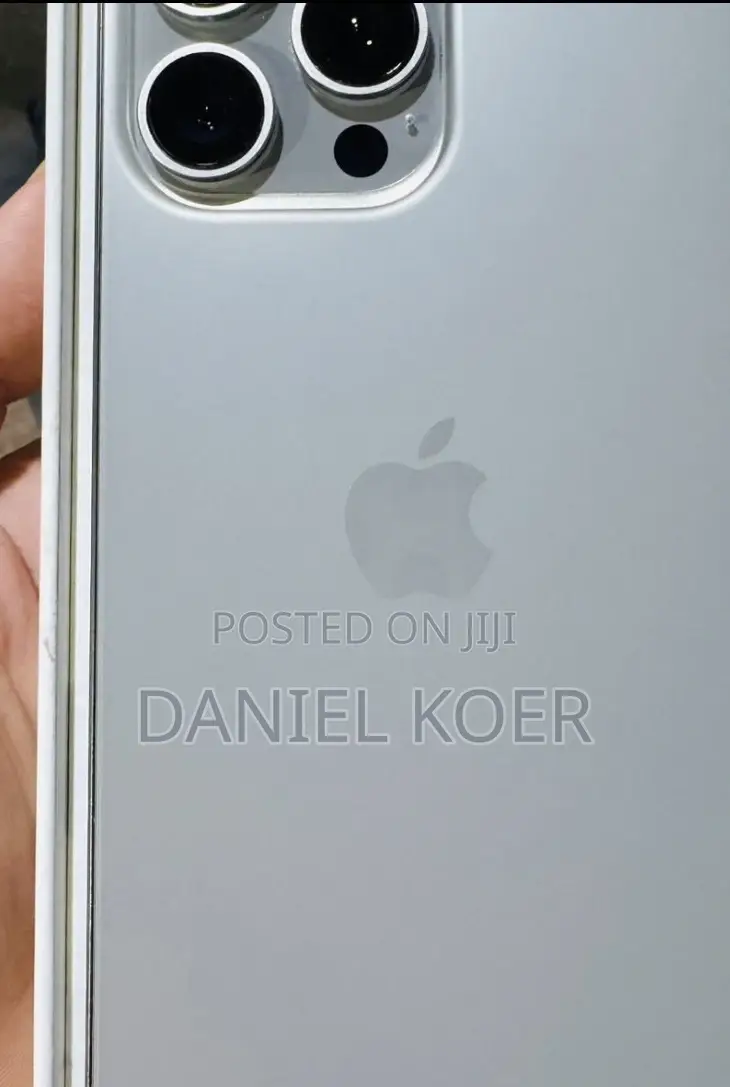Apple iPhone 15 Pro Max 256 GB Silver