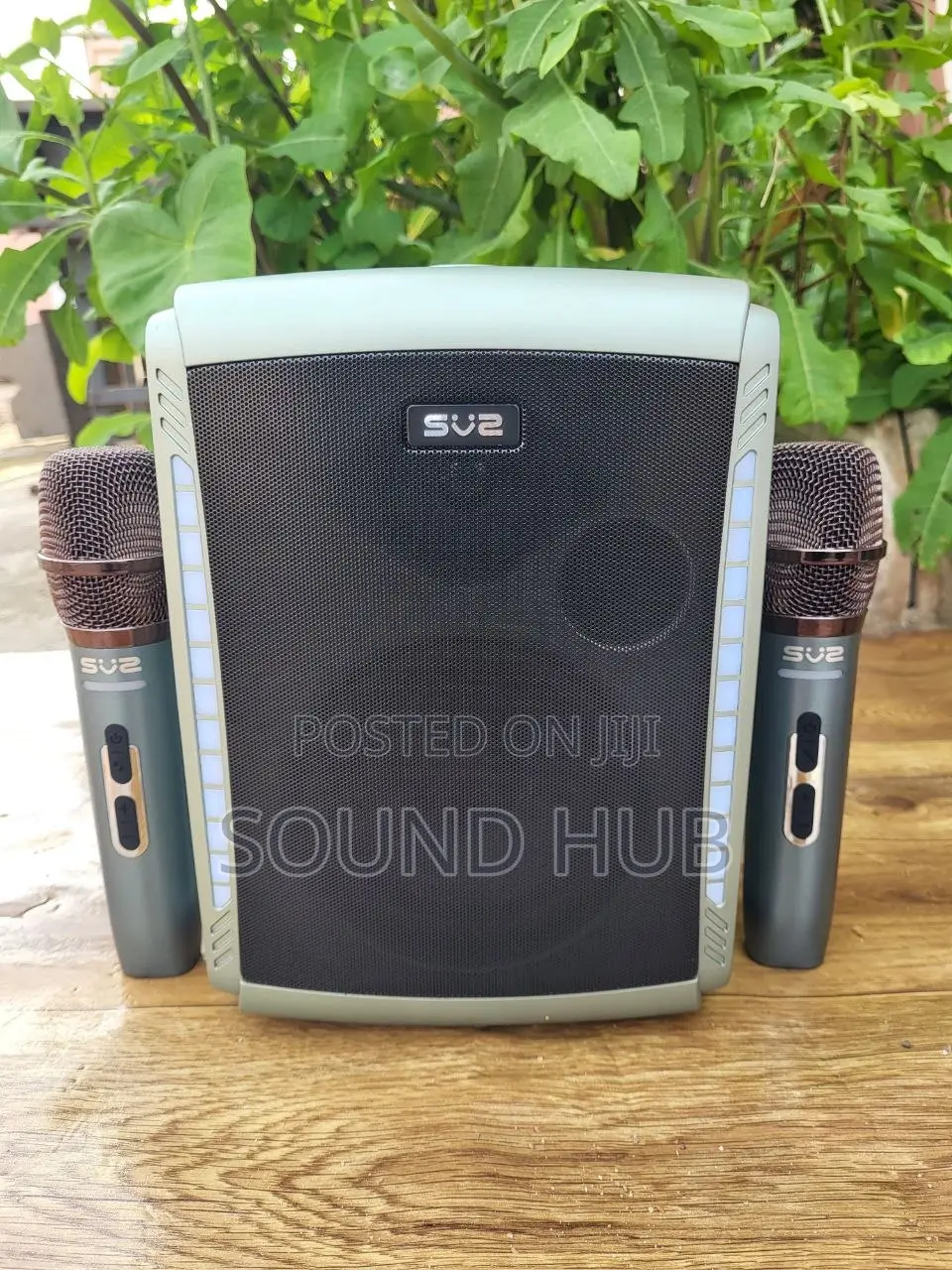 Portable Wireless Speaker With 2 Mics