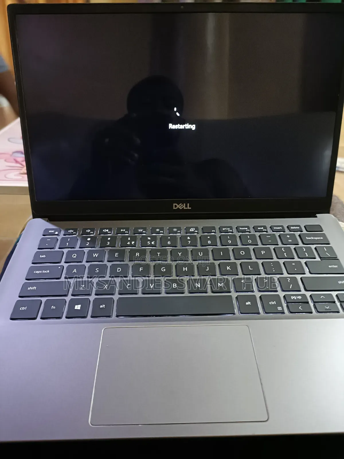 Laptop Dell Latitude 3301 8GB Intel Core i5 SSD 256GB