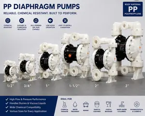 Industrial Chemical Transfer Diaphragm Pump