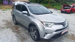 Toyota RAV4 XLE 4dr SUV AWD (2.5L 4cyl 6A) 2018 Silver