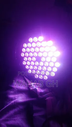 Stege Light