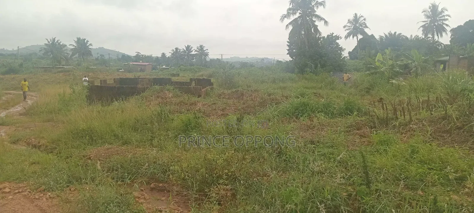 4 Plots of Land Available for Sale at Kofi Kwei