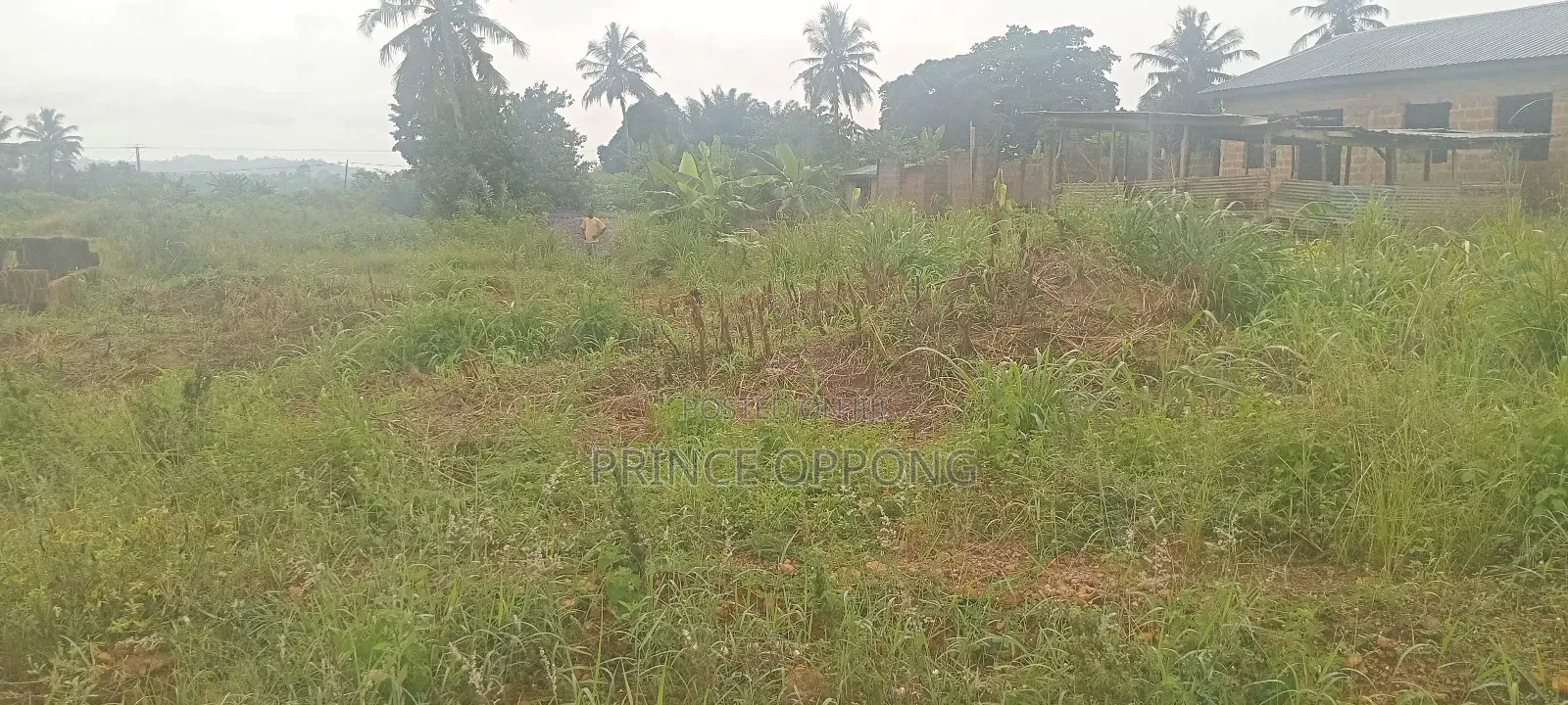 4 Plots of Land Available for Sale at Kofi Kwei