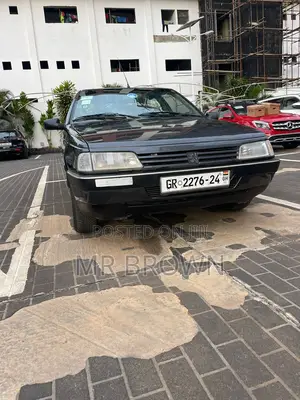 Peugeot 405 1997 Gray