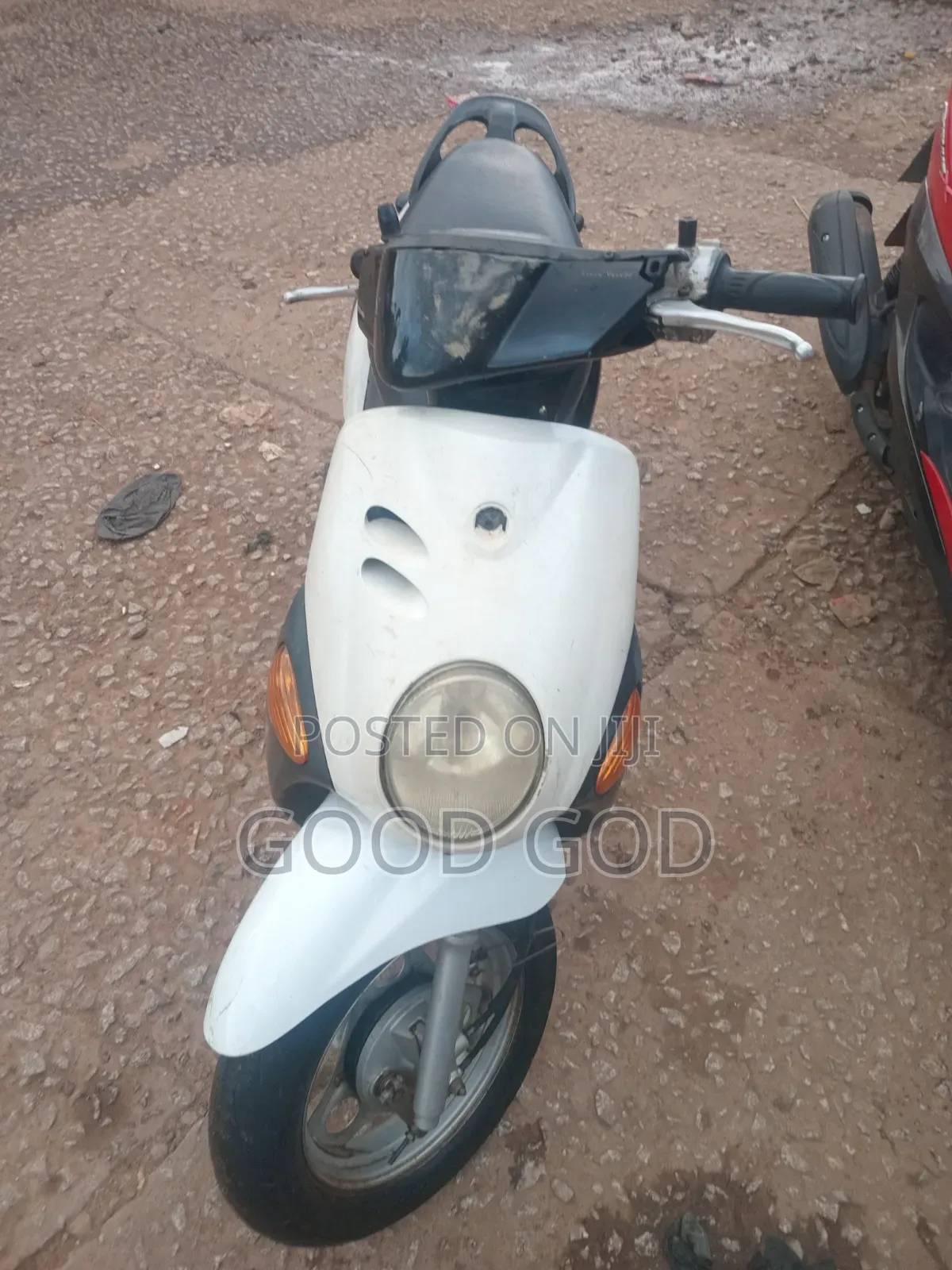 Honda 2022 White