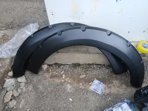 Ford 150 Raptor 2015 2016 2017 2018 2019 2020 Fender Moulding Set