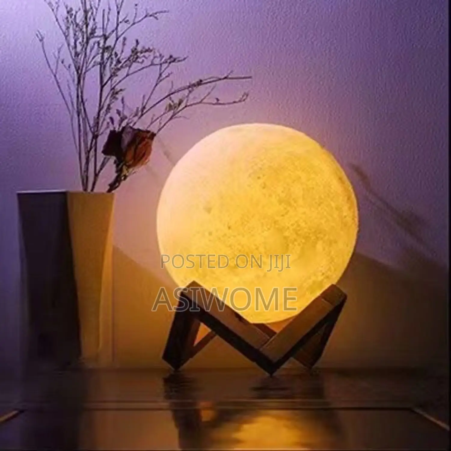 Round Bulb Moonlight