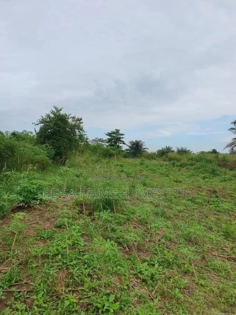 Affordable Lands for Sale at Nsawam