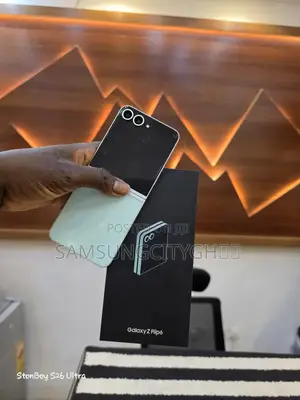Samsung Galaxy Z Flip6 256 GB Blue