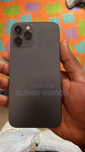 Apple iPhone 12 Pro Max 128 GB Gray