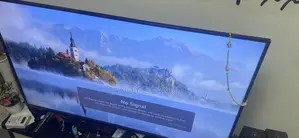 Lg Needed Fast Buyer Asap