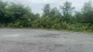 19 Acres Prime Roadside Land for Sale – Shai Hills