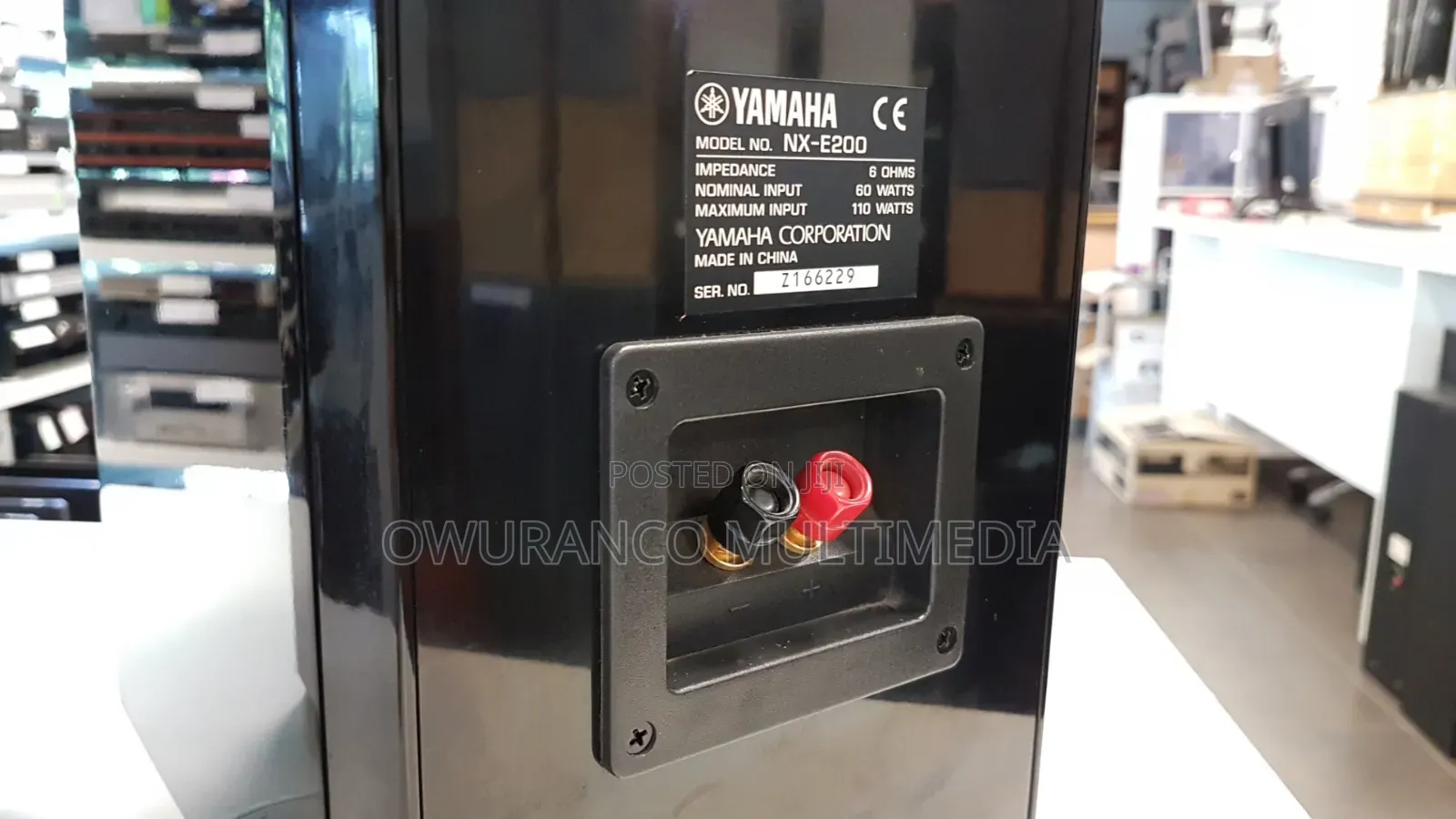 Yamaha Pianocraft Nx-E200
 Loudspeakers Bookshelf