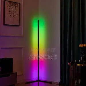RGB Led Floor Lamp