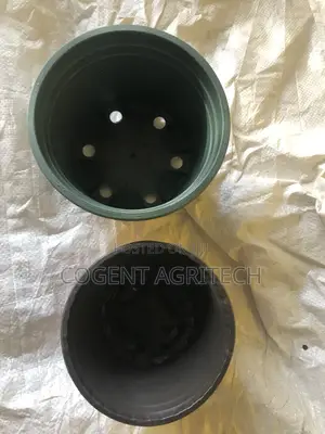 Vegetable Grow Pots (Small Size)