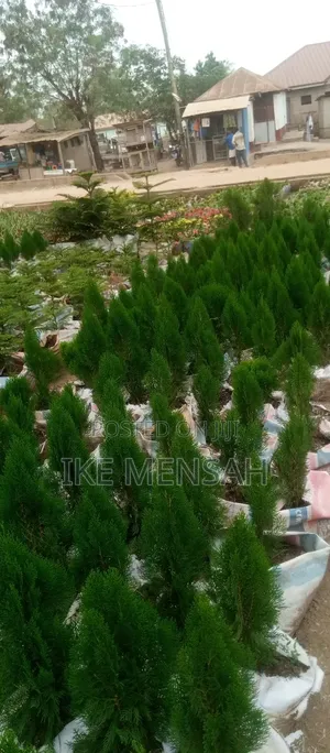 City Gardners