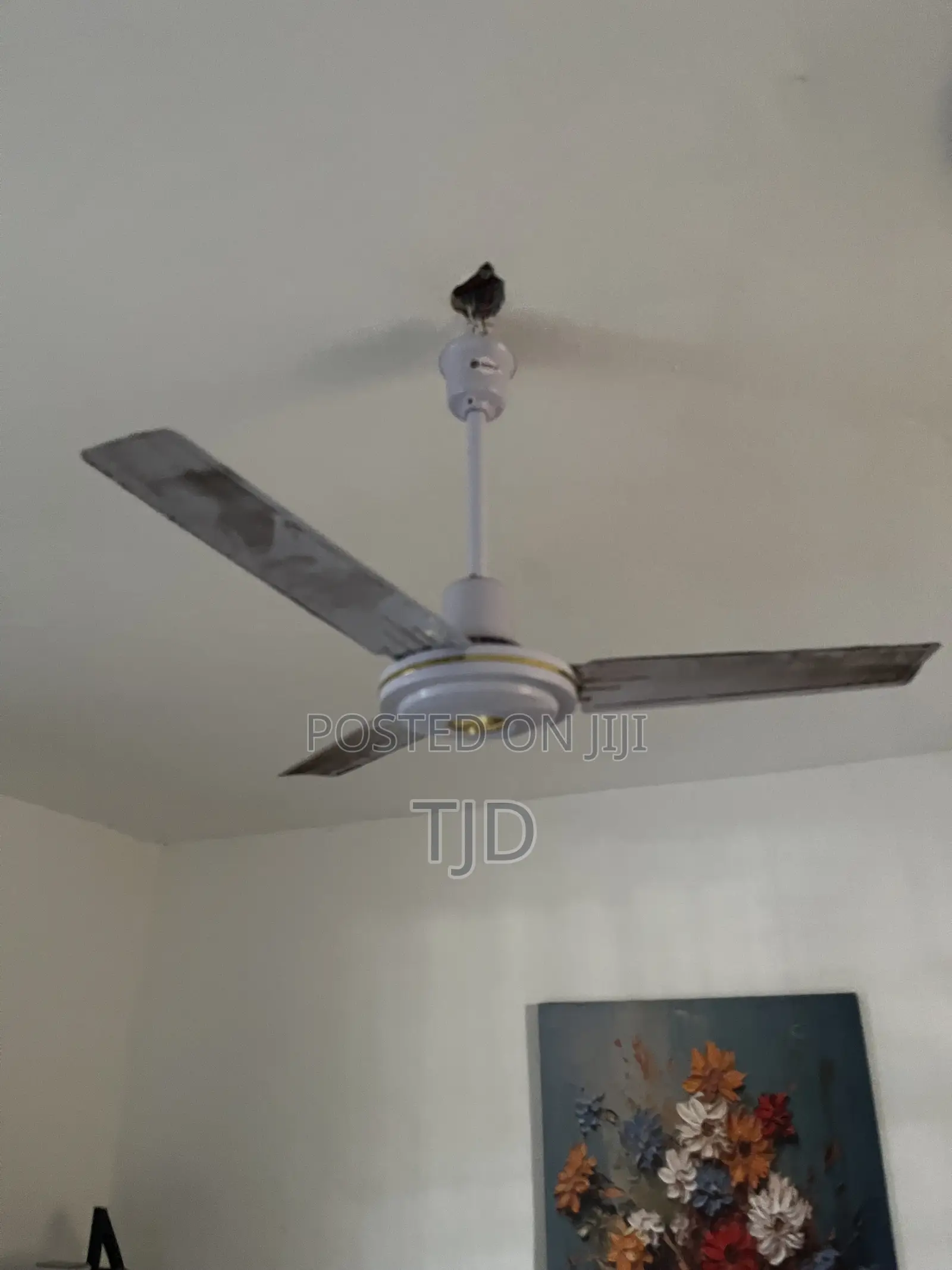 2 Used Ceiling Fans Short and Long Blade