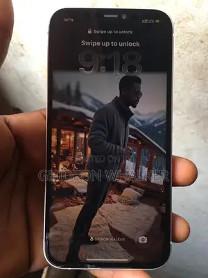 Apple iPhone 12 128 GB Gray