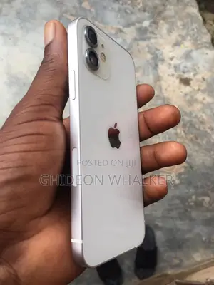 Apple iPhone 12 128 GB Gray