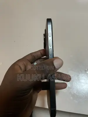 Apple iPhone 16 Pro Max 256 GB Black