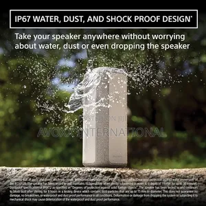 Sony SRS-Xe300 X-Series Wireless Portable-Bluetooth-Speaker
