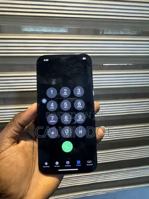 Apple iPhone 12 Pro Max 256 GB Blue