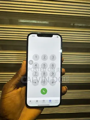 Apple iPhone 12 Pro Max 256 GB Blue