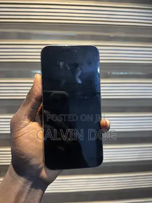 Apple iPhone 15 Pro Max 256 GB