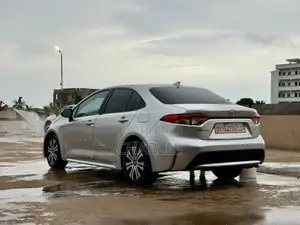 Toyota Corolla LE 2020 Gray