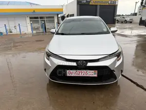 Toyota Corolla LE 2020 Gray