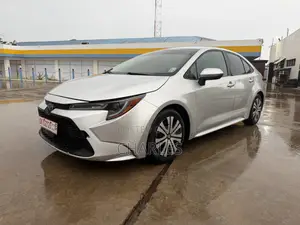 Toyota Corolla LE 2020 Gray