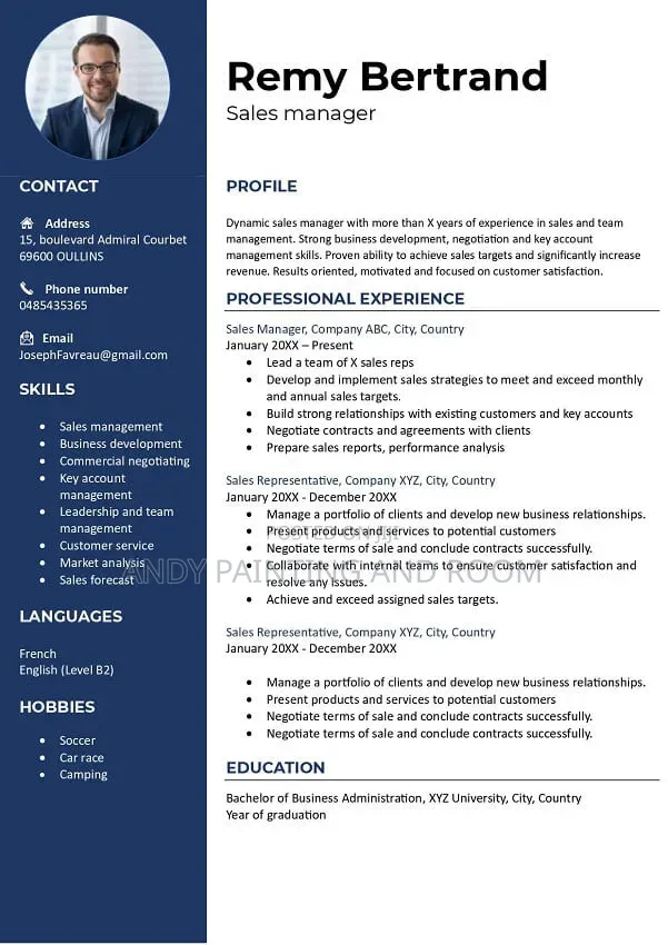 15 Editable Cv/Resume Templates