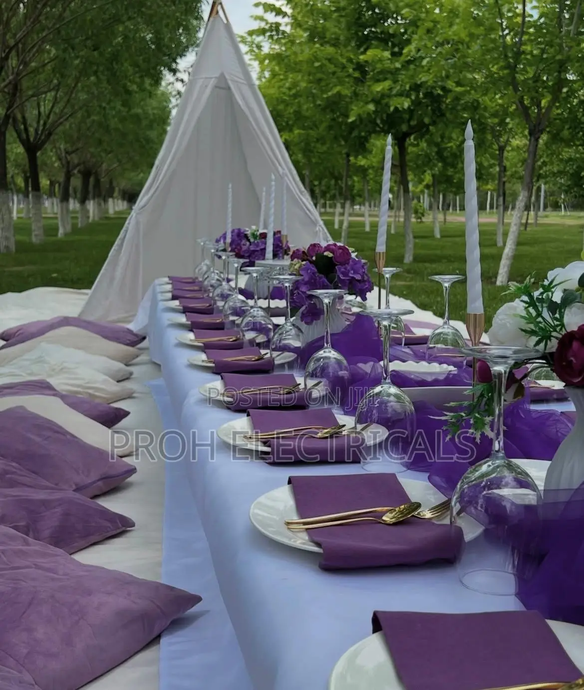 Picnic Setup