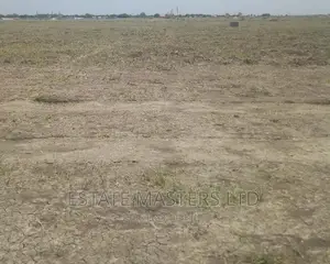 Invest in Land and Reap the Benefits
