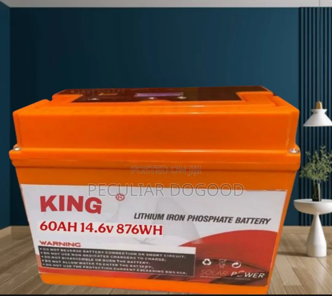 Multifunctional 14.6v 60ah Lithium Lifepo4 Battery Best Affordable