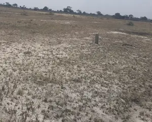 Invest in Land and Reap the Benefits