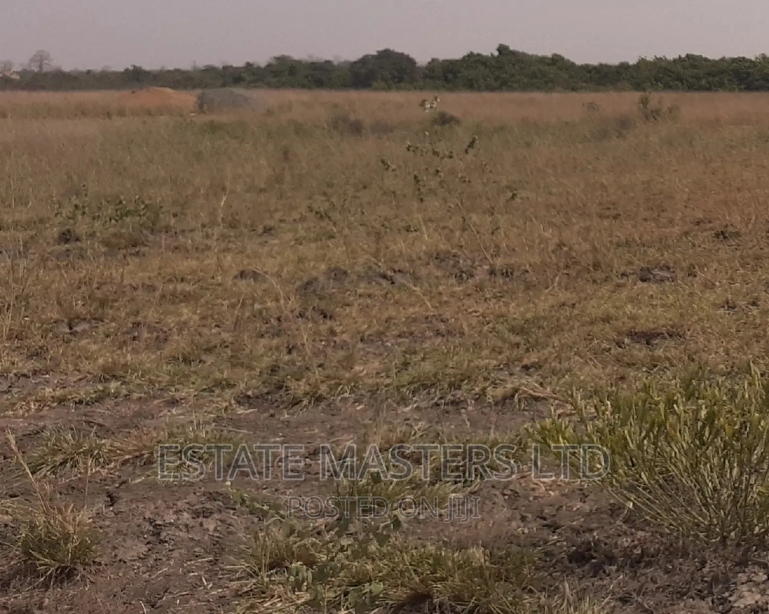 Invest in Land and Reap the Benefits