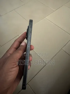 Apple iPhone 15 Pro Max 256 GB Gray