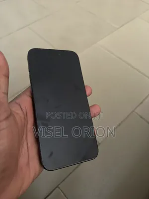 Apple iPhone 15 Pro Max 256 GB Gray