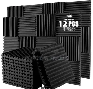 Studio Acoustic Foam Pannel