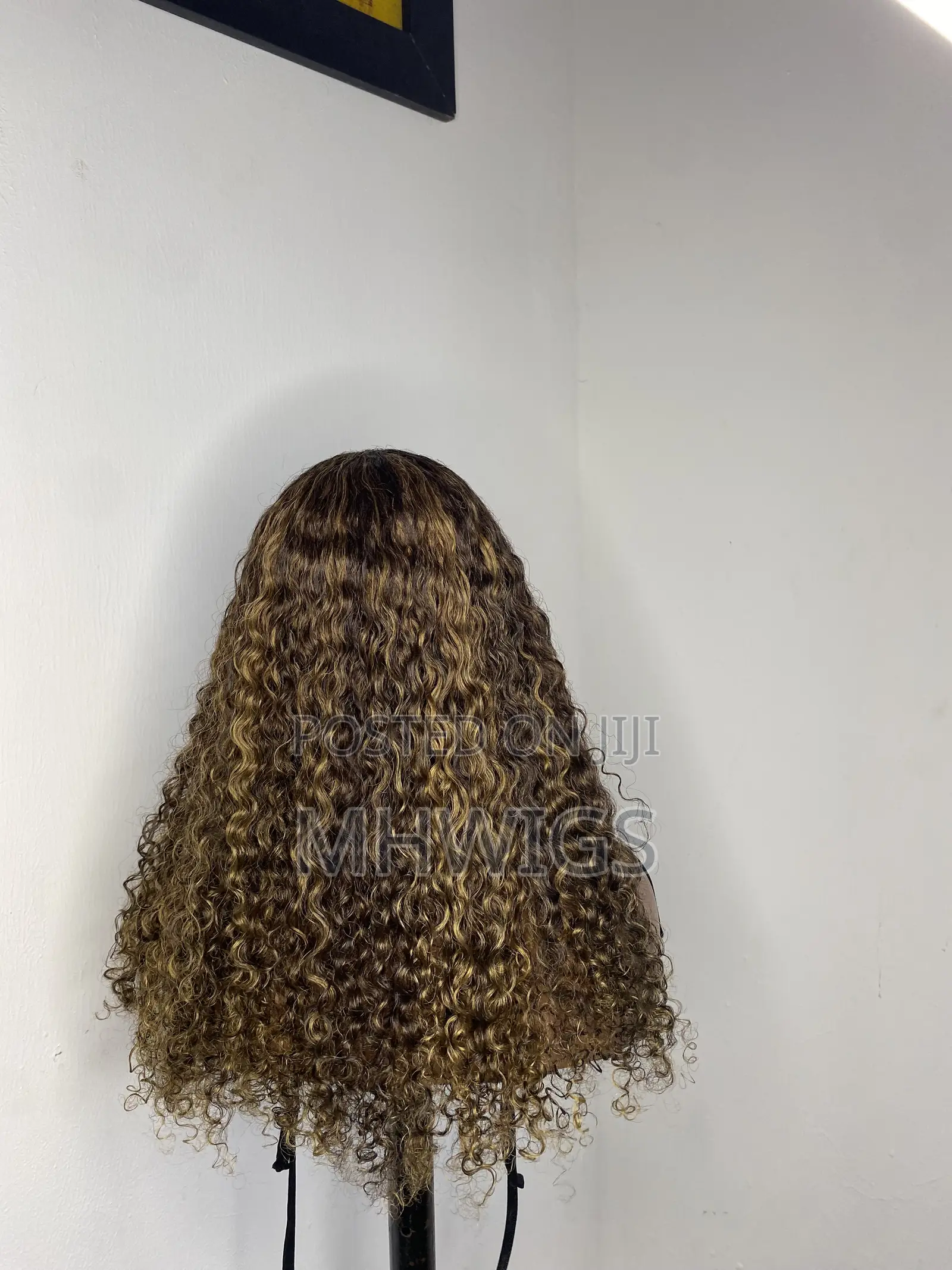 Blonde/Brown Curly Wig 20inches