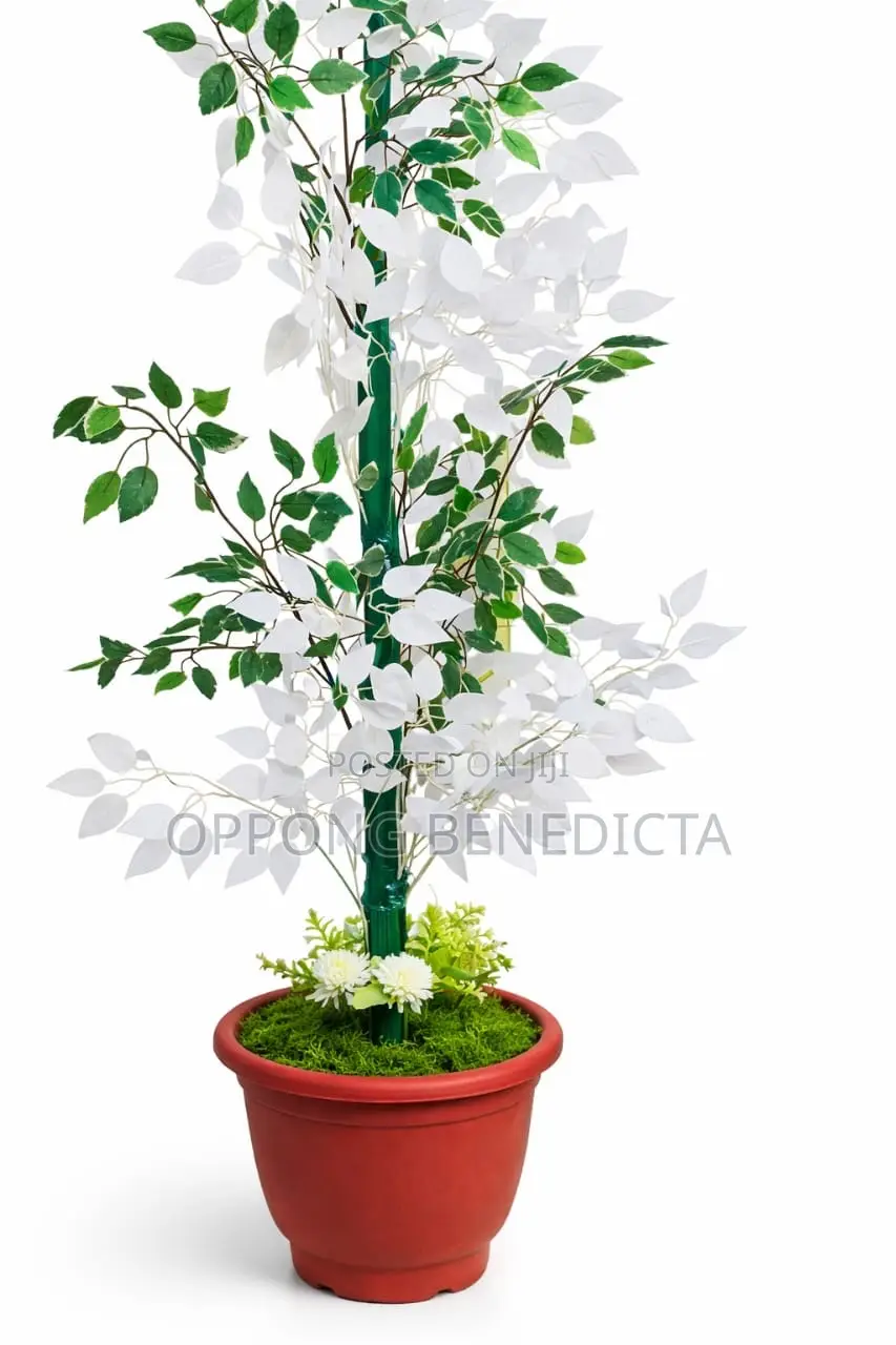 Beautiful Potted Artificial Plant for Home/Office Decor