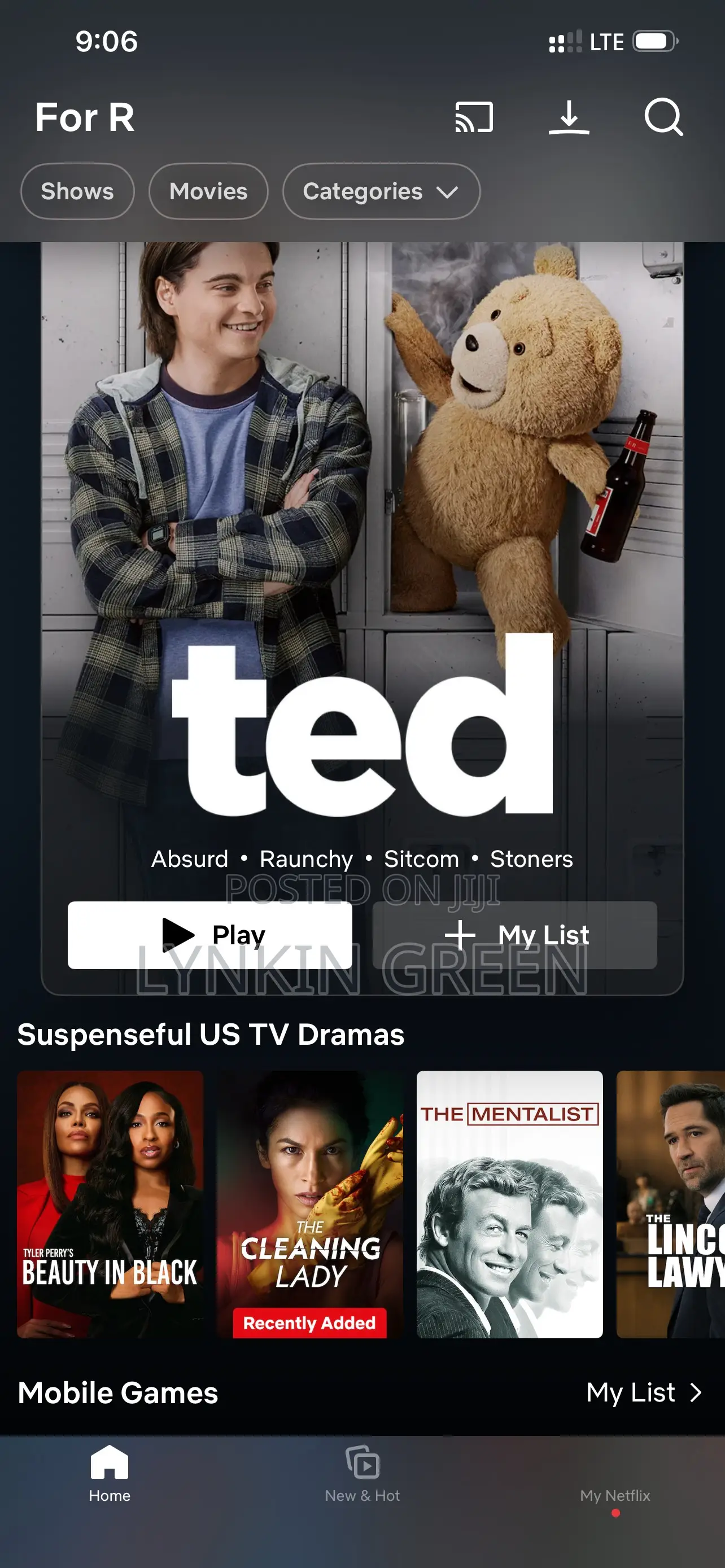 Premium Netflix Account
