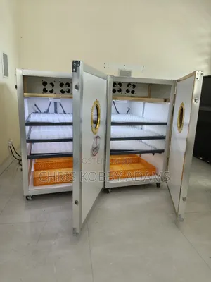 Egg Incubator for Guinea Fowl